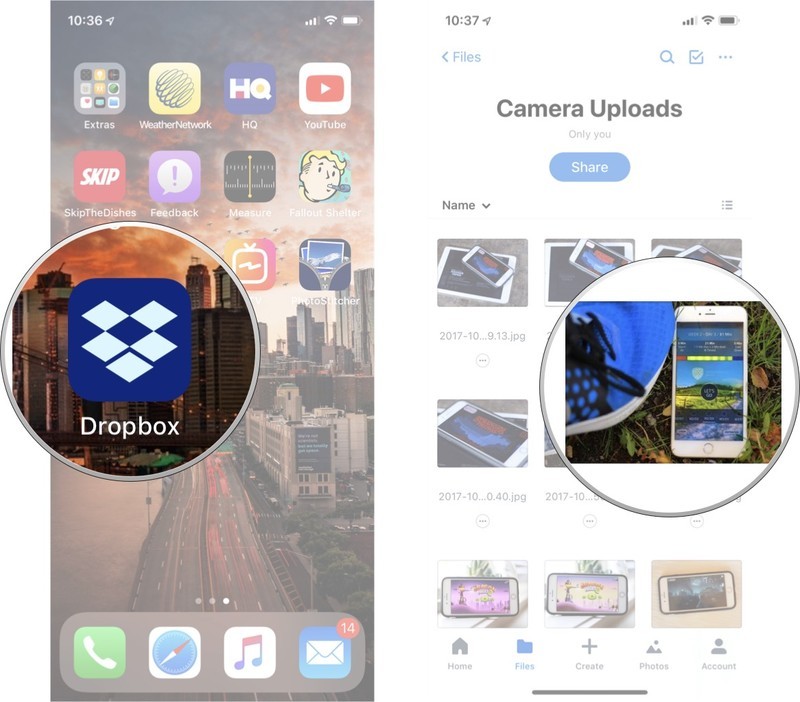 Download Photos From Dropbox To Mac